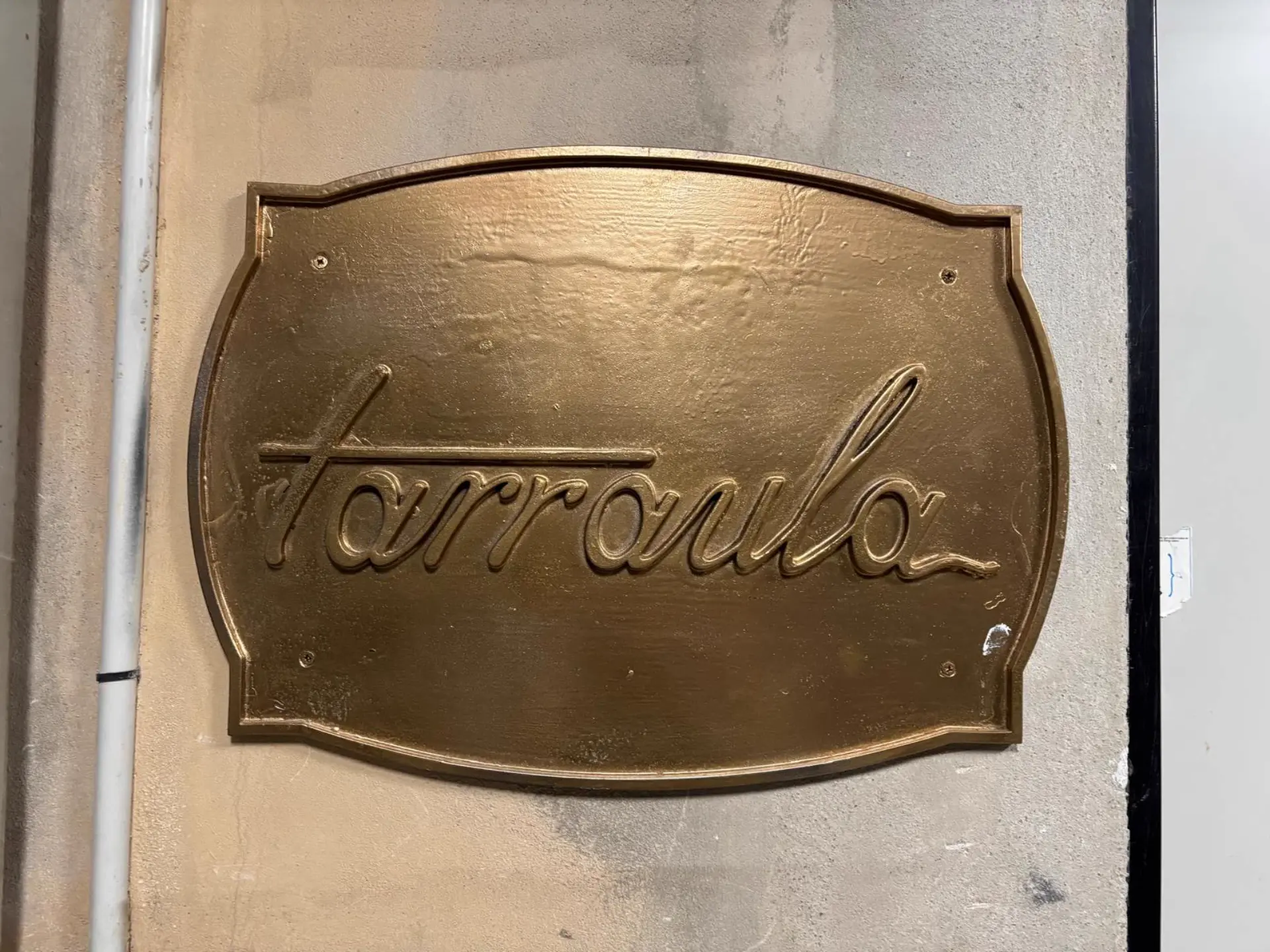 Tarraula proyecto